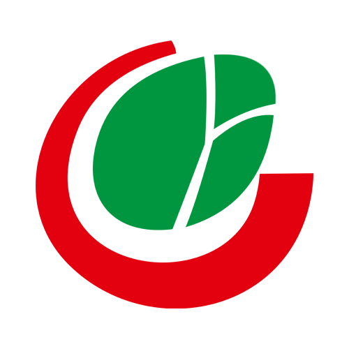 ayoub